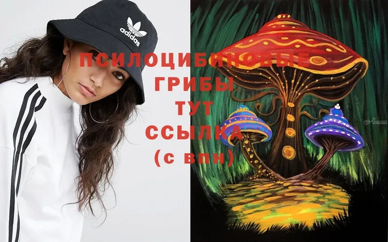 наркота  Вятские Поляны  мега ссылка  Псилоцибиновые грибы Psilocybe 